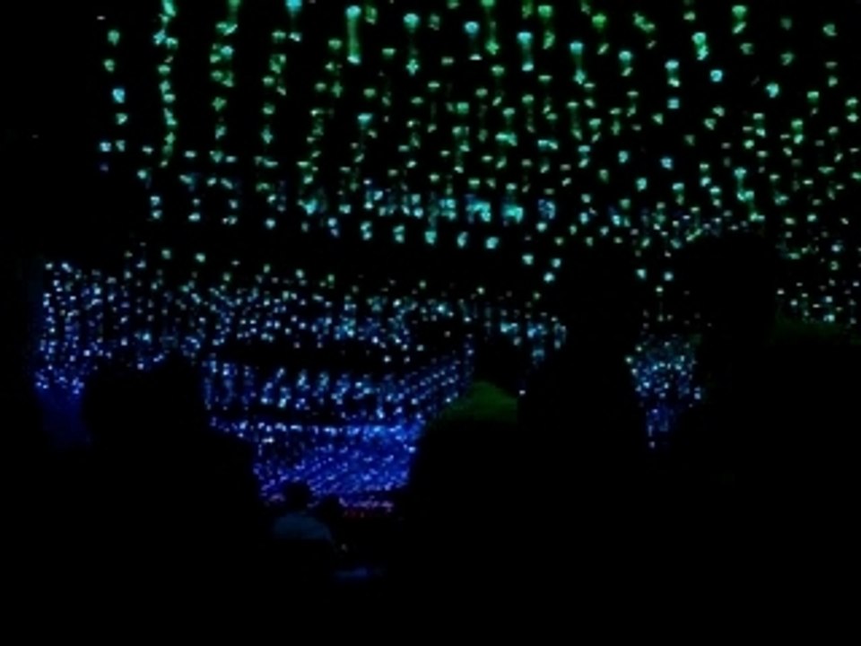 Crystal - Club -  London