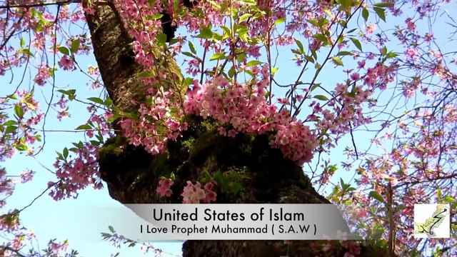 Naat: Ya Nabi Nazar e Karam Farmana یا نبی ﷺ نظرِ کرم فرمانا