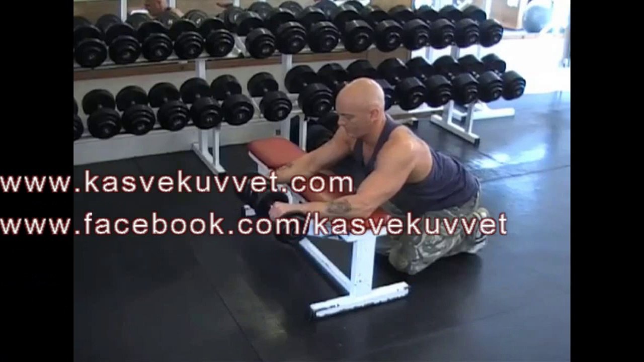 Reverse Dumbell Wrist Curl Over Bench