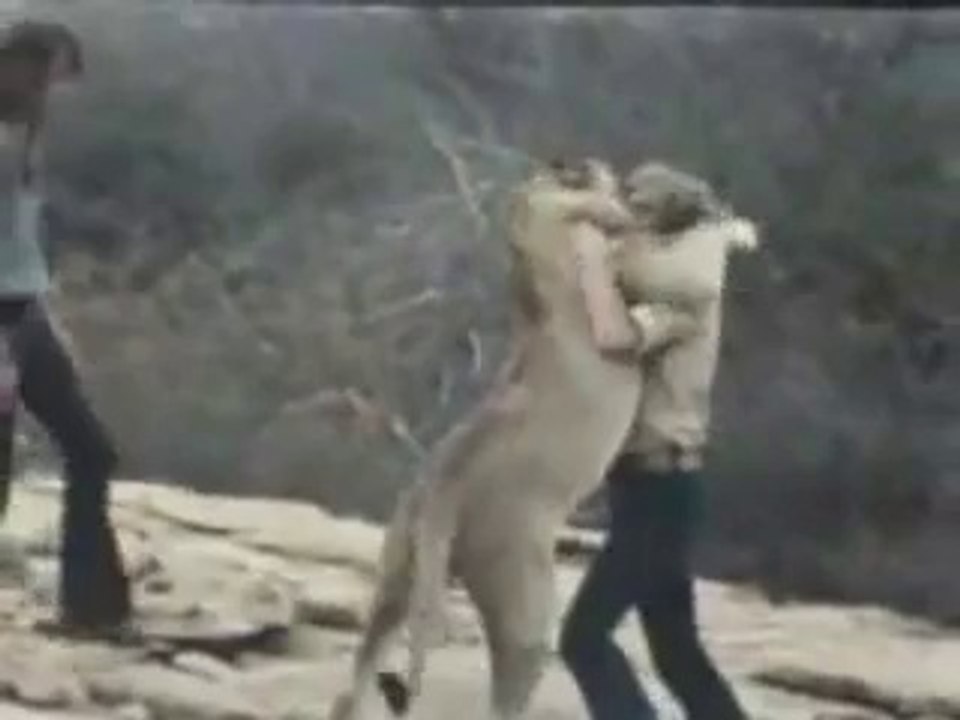 Reencuentro