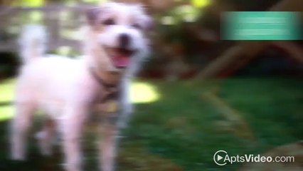 Outlook Ridge Apartments in Pueblo, CO - ForRent.com