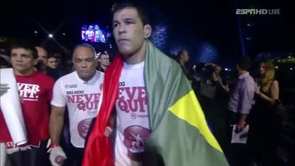 Antonio Rodrigo Nogueira vs. Roy Nelson 4-11-14