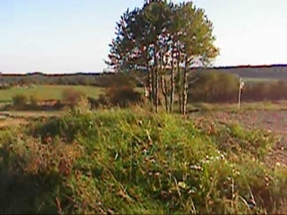 video7