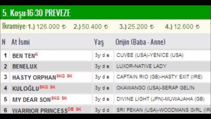 istanbul adana at yarışı