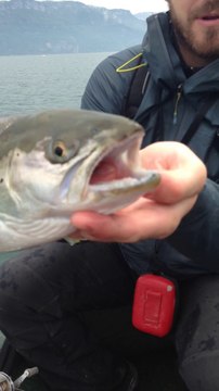 TRUITE LACUSTRE DE 60CM AUX LEURRES LAC DU BOURGET