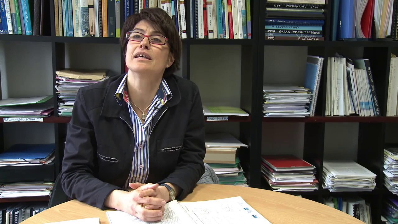 Vidéo «Stimulation de la Recherche/Données/Inform@tion »