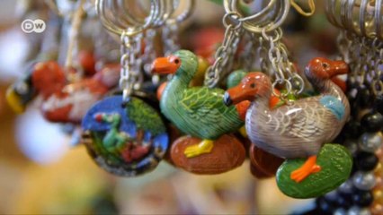 The Dodo offers a lesson in extinction | Global Ideas