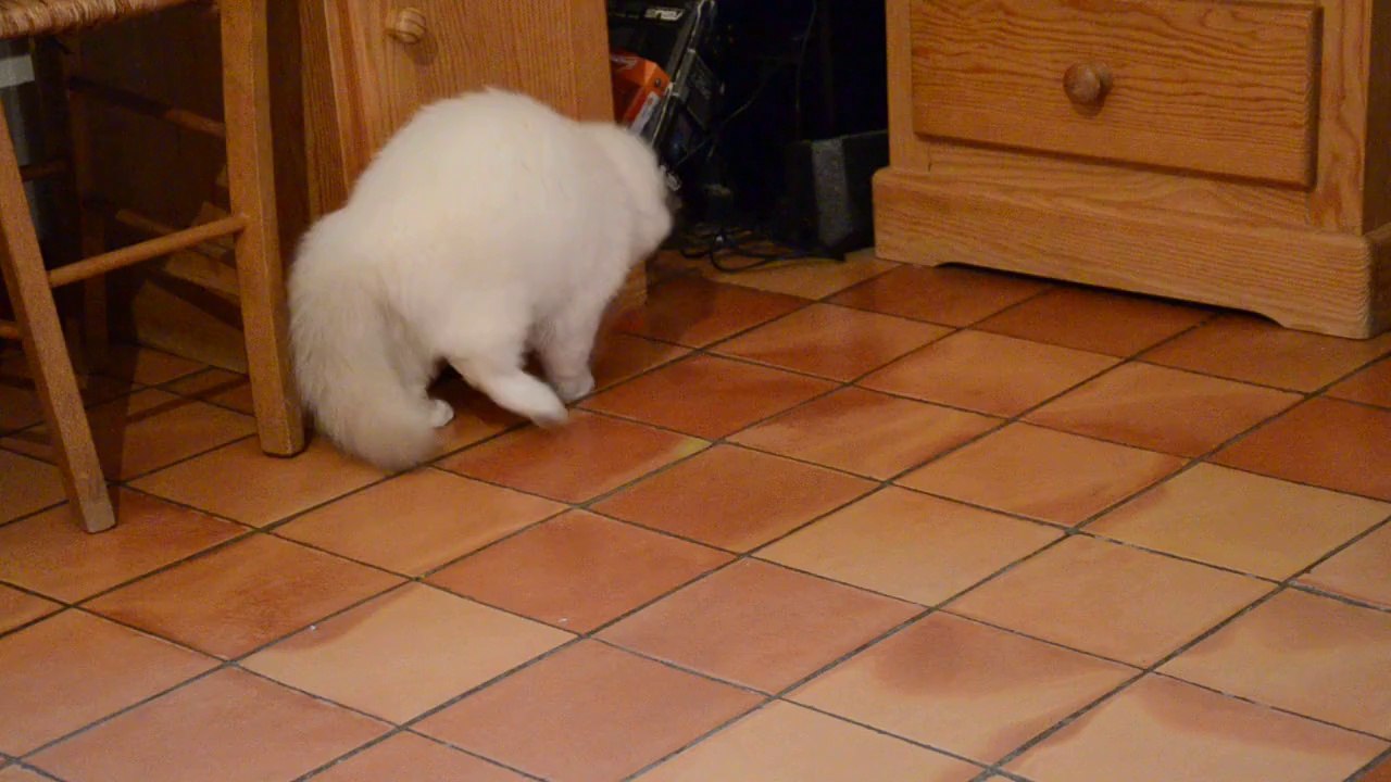 Iouzou joue avec nounours ,2