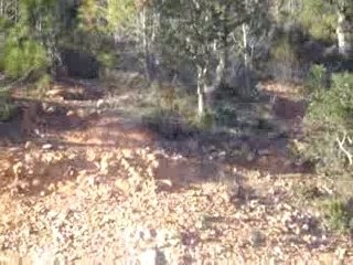 Sortie Vtt dans l'Esterel