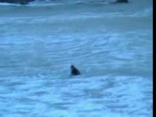 Surf michel de frehel