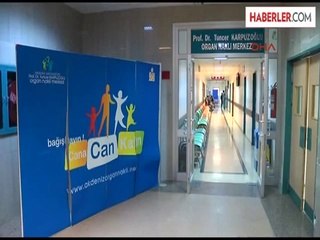 2 Yaşındaki Gülümser, Komşusunun Karaciğeriyle Hayata Tutundu