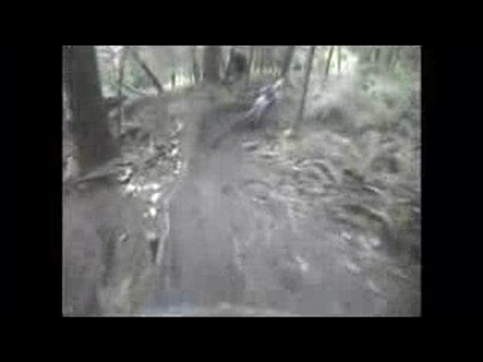Descente en vtt