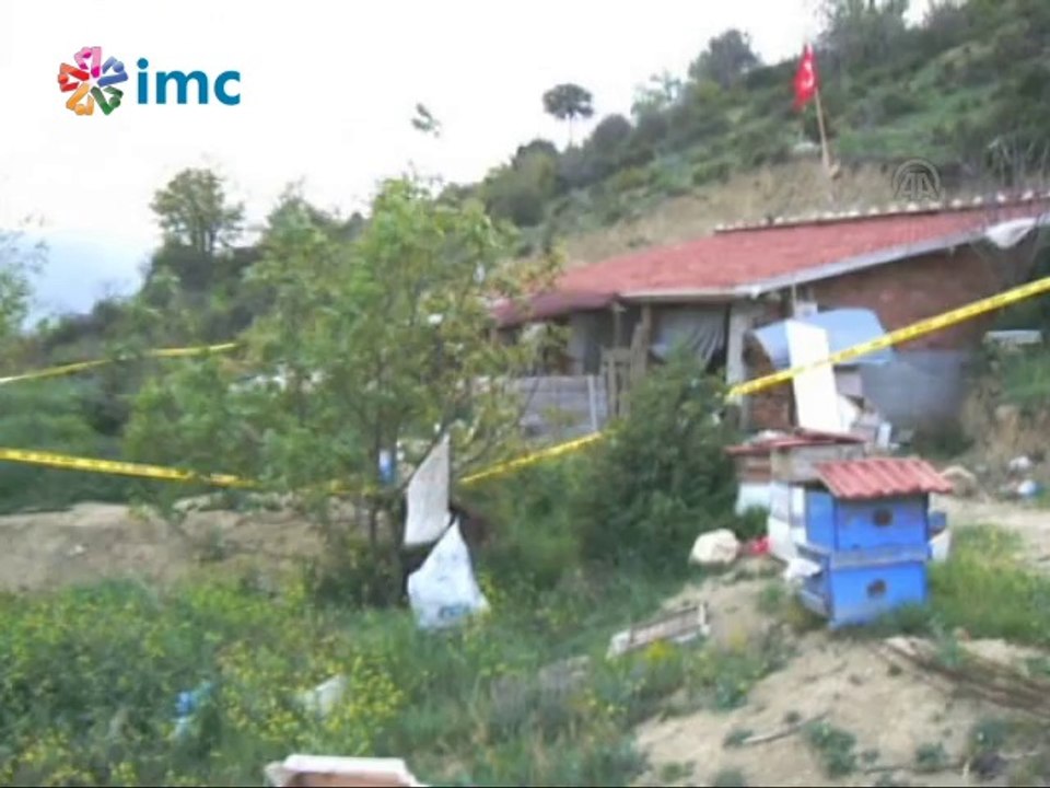 Bilecik'te arı can aldı