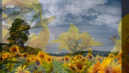 Χόρεψαν τ΄ άσπρα πουλιά ---- Γιοβάννα