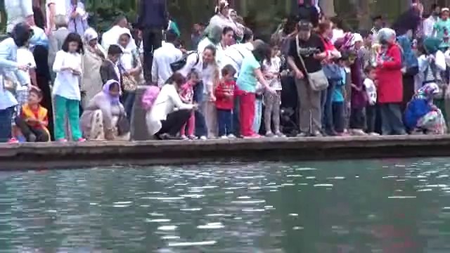 sanlıurfa balıklıgöl ziyaretçi