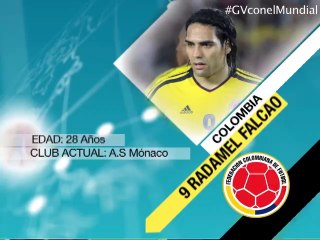 Conozca el perfil del jugador colombiano Radamel Falcao