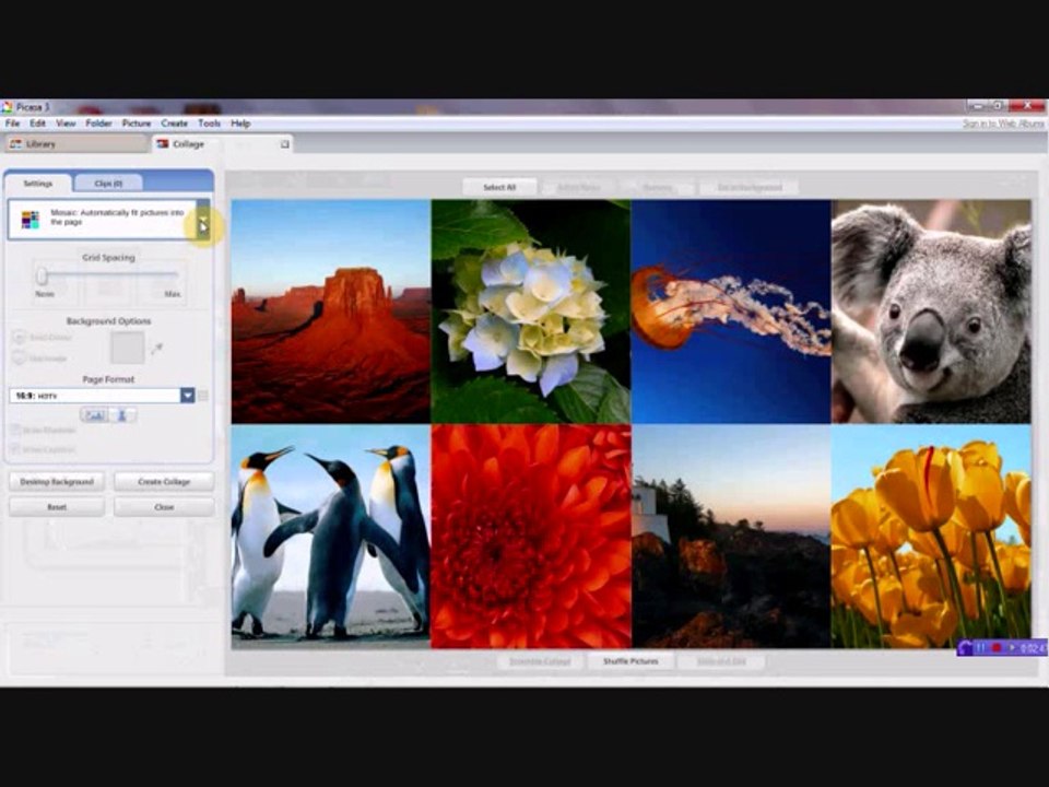 Picasa indir