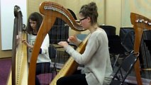 Les Mercredis du SIM - harpe celtique