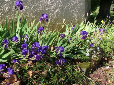 Diaporama Pâques à Béthanie