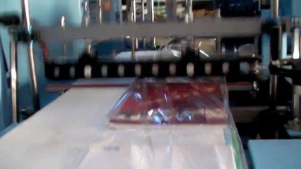 500 SK Continuous Motion Side Sealer (Sürekli Kesim Hareketli Çene)