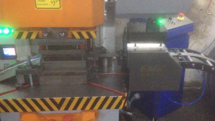 Servo Sürücü EMM-100