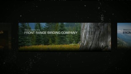 Bird baths & Digiscoping Denver