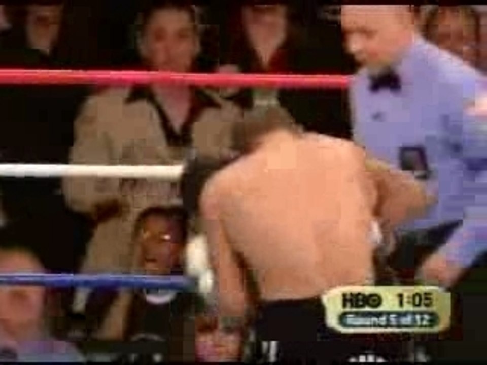 Ronald Wright Vs. Shane Mosley rd 5