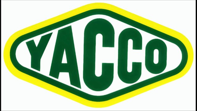 HONDA INTEGRA TYPE R DC2 : ITR VS ITR Lurcy Lévis