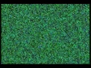 100-Person Flashmob Chases Random People