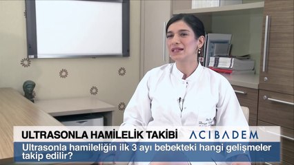 Ultrasonla hamileliğin ilk 3 ayı bebekteki hangi gelişmeler takip edilir?