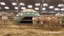 Portes ouvertes à la ferme du Vert pâturage