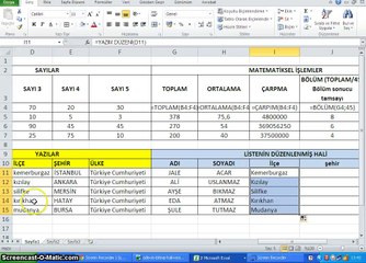 007 - Microsoft Excel 2010 - Metin Formülleri