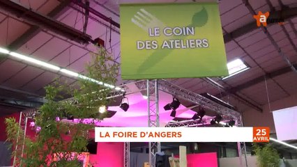 JT AVRIL 2014 [S.4] [E.18] - Le Journal du vendredi 25 avril 2014