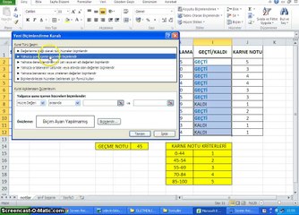 010 - Microsoft Excel 2010 - Sınıf Başarısı Koşullu Biçimlendirme