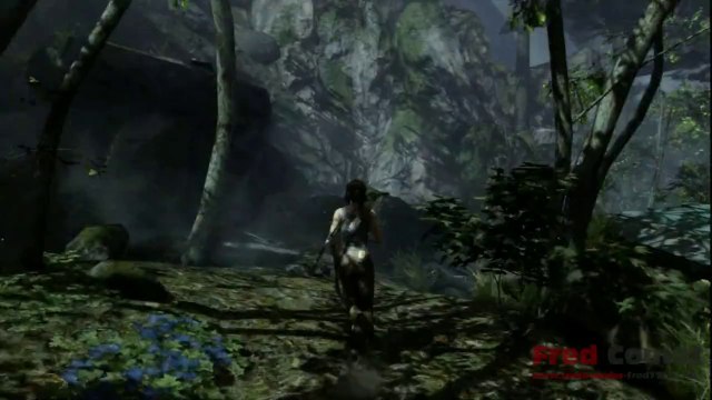 La foret Littorale Sud_ 2.2-Le document_Tomb Raider 2013 une survivante est née