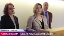 NDP Leader Andrea Horwath on Ontario Budget