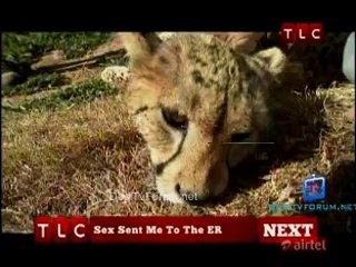 Get Out 25th March 2014 Video Watch Online pt2