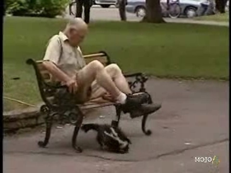 Skunk Prank