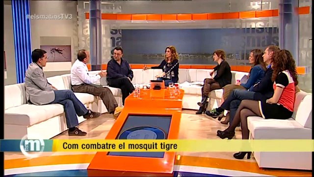 TV3 - Els Matins - Combatre el mosquit tigre