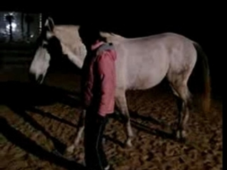 voltige équestre et liberté