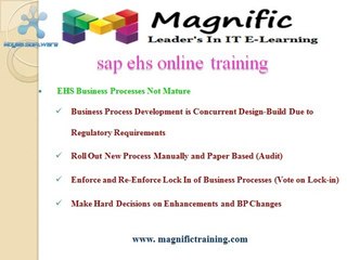 sap ehs online training in india
