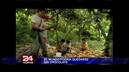 ¿Un mundo sin chocolate? Afirman que demanda sería insostenible en 2020