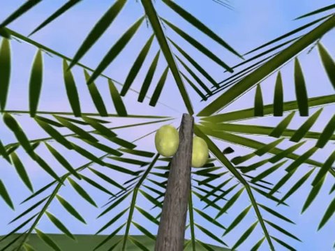 macera adası bölüm 1