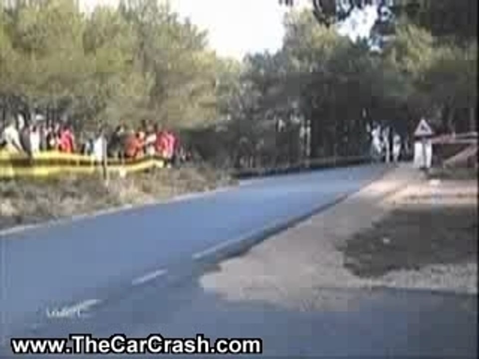 Tree Saves Guy from Death