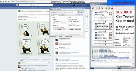 zGeceAvcisi köpek tavşan kedi sorusu