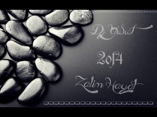 Dj YuSuF 2o14 Zalim Hayat ™ ® [Yusuf Çeleğen]