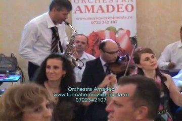 Orchestra Amadeo, solista muzica populara, muzica moldoveneasca