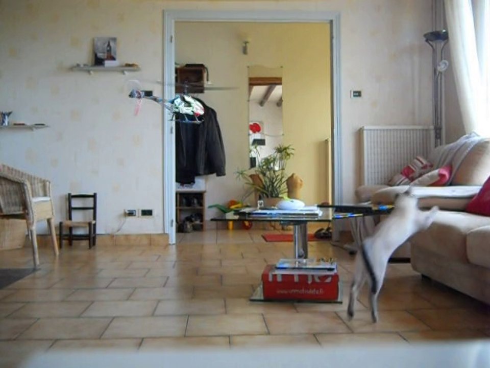 VOL DU F645 Passage de la porte