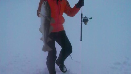 Norvège, Icefish, pêche à la morue (Torsk) sous la glace, fjord gelé Tromso