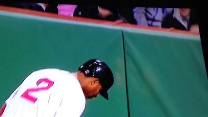 Un fan de BASEBALL pas très cool... Voleur de balle! Yankee contre Red Sox